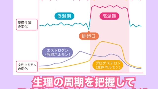 生理のタイミングを狙って効率的にダイエット パーソナルトレーナーが教える生理後のおすすめトレーニングを紹介 パーソナルジム Island Blog